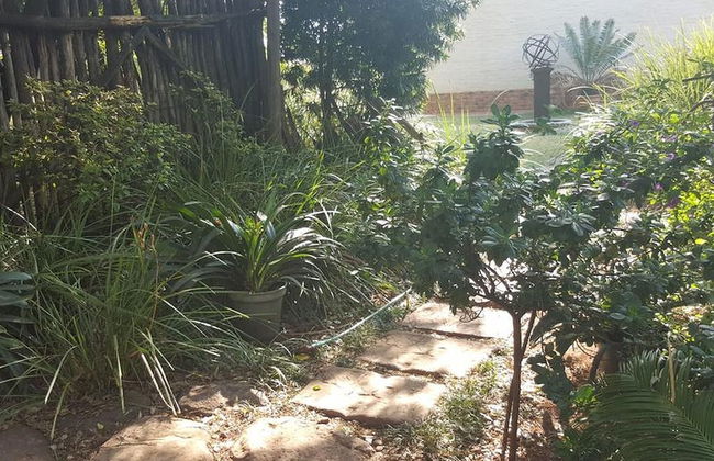 Since 2006 African Silhouette Offers Safe, Tranquil and Highly Recommended Stays - Photo 10