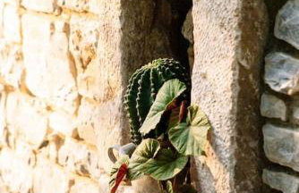 Archontiko Epirus 1 - Foto 34