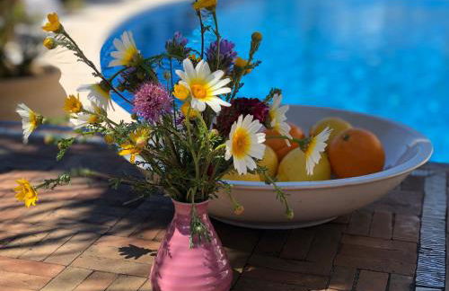 Casa Olina - Photo 78