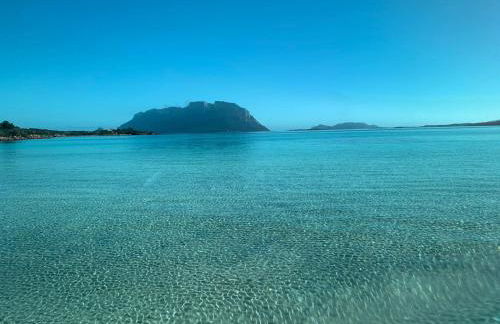 La Marina Apartment with Pool - Foto 32