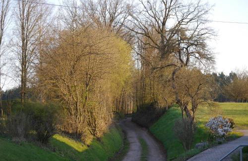 FeWo Ulbrich Langenstadt - Foto 34