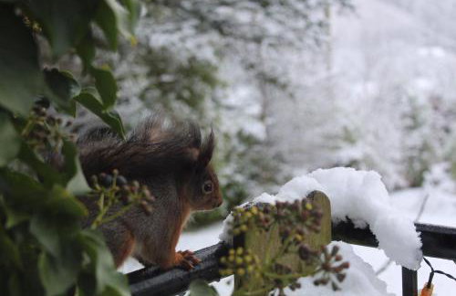 Crotlieve Barn - Photo 10