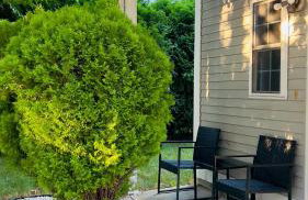 Charming home Centrally located in Worcester - Foto 11
