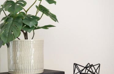 TC Sweet Pea - 2-Bedroom Condo Near Downtown TC! - Photo 20