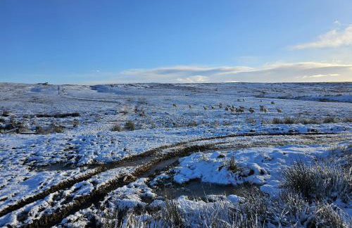 Petty Knowes Cottage - Foto 42