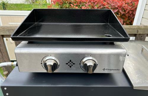 Le Paradis du Rhône - mobilhome moderne et confortable - Foto 24