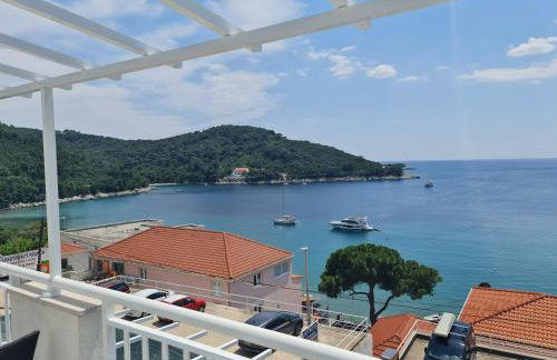 Apartments Pavlić - Photo 4