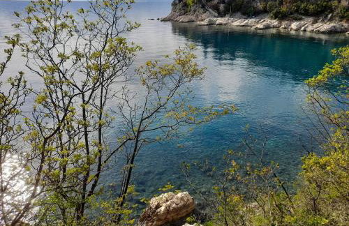 Apartment "Villa M" - Foto 36