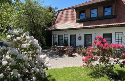 Ferienwohnungen Elsterblick Bad Elster - Foto 17