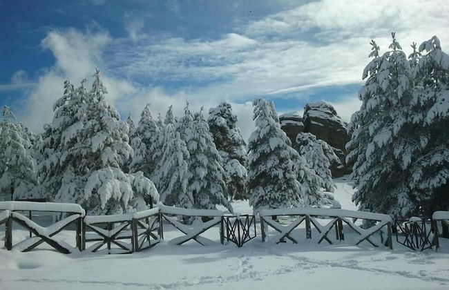 Eco Urbión - Foto 37