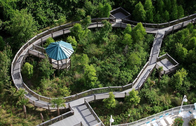 Blue Heron Beach Resort - Foto 71