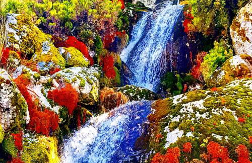 Dona Gracia Belmonte - Foto 80