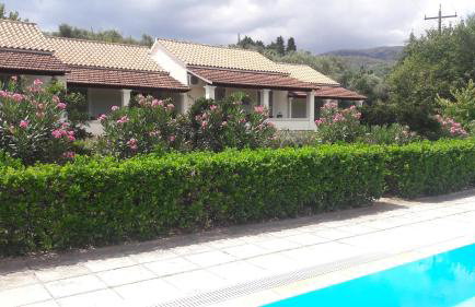 Lemontree Apartments - Foto 52