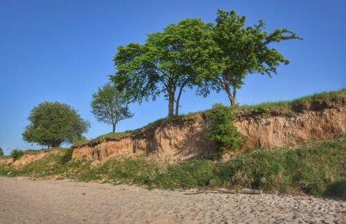 Emilias Hüs, Reethaus in der Bucht von Wismar - Photo 33