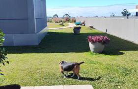 Magnifico apartamento no Campeche - Foto 13