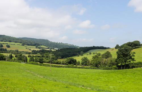 Tyn Y Celyn Isaf - Foto 34