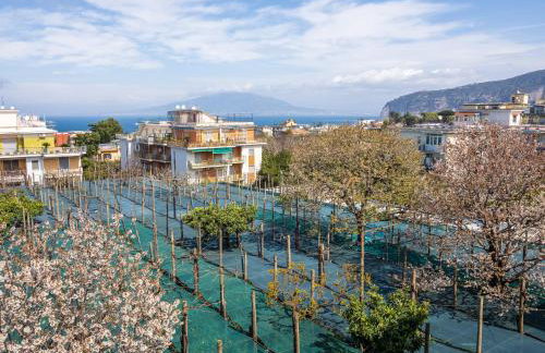 YourHome - Corso Italia Apt in Sorrento - Foto 64