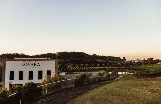 Tour del vino por el Vale dos Vinhedos - Foto 10