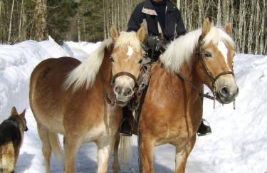 Ferienwohnung Haus Rieder Inzell - Foto 23