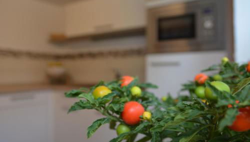 Ferienwohnung Arnold - Foto 5