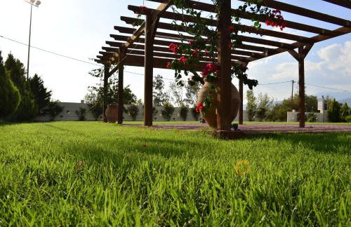 Ktima Xiliadou - Foto 77