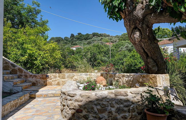 Apartments Panethimos - Foto 25