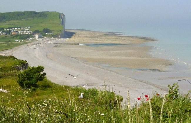 Holiday Home in Criel sur Mer Near sea - Foto 20