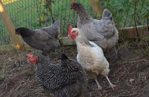 2 Bed in Thirsk oc-48116 - Foto 22