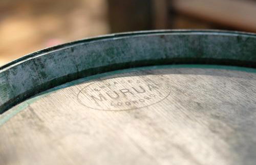 Racoon - Außergewöhnliches Tinyhauserlebnis beim Reptilienzoo Reptilium - Foto 11