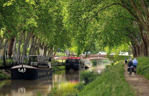 Evasion dépaysante Canal du Midi * Terrasse & SPA - Foto 3