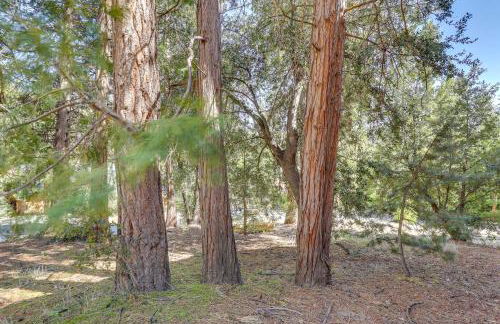 Across From Hiking Trails Woodsy Studio! - Foto 20