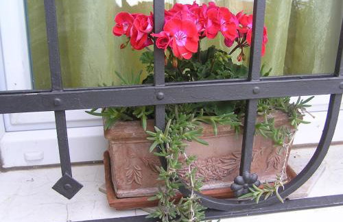 Apartman Pelcic,with WiFi and free parking - Foto 29