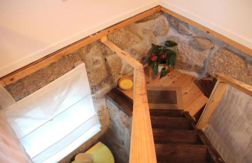 Bosque dos Amieiros - Foto 15