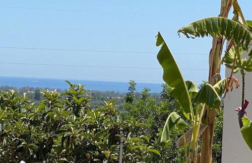 Villetta Mirto piscina condivisa - Photo 5
