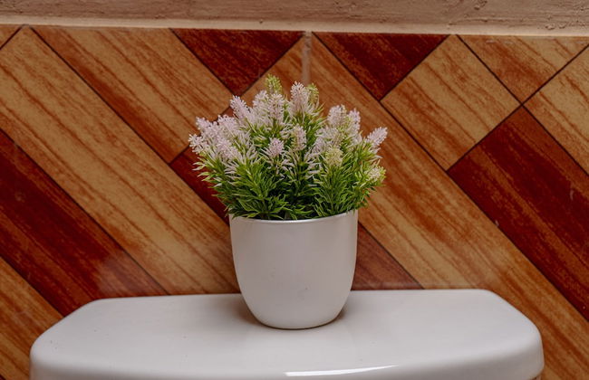 Andean Glamping - Foto 33