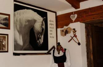 Agriturismo Randis - Foto 47