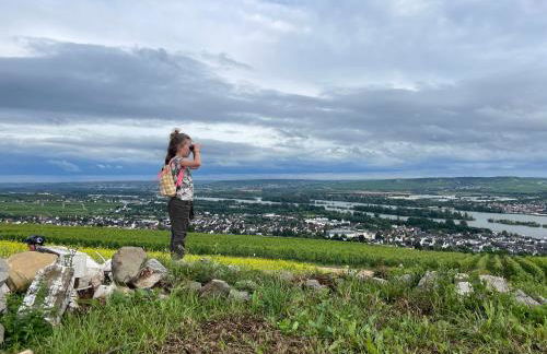 Große Ferienwohnung direkt an den Weinbergen - Foto 20