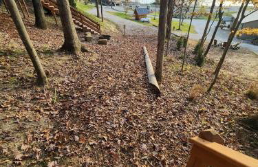 Sweet Tree Cabin with Grill Overlooking Tappan Lake in Ohio - Foto 14