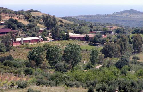 Agriturismo Su Barraccu - Foto 58