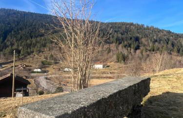 Le Balcon de Bramont - Foto 50