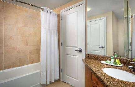 Marriott's StreamSide - Birch Studio Apartment with Resort Access - Foto 14
