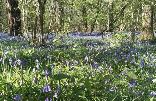 The Bakers Hut - Foto 23