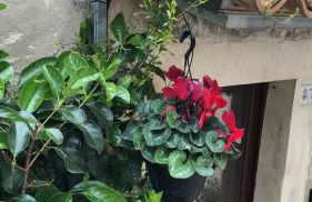 A casa da Anita - Foto 15