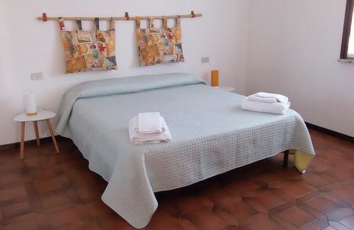 Dagli ulivi al mare - Foto 24