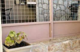 Trachos Traditional House - Foto 33