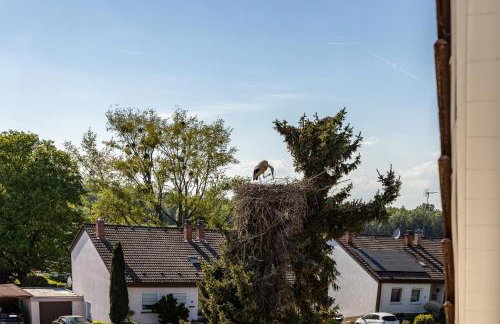 Ferienwohnung Laulina - Foto 14