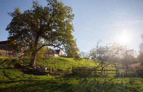 Parnham Cottage - Photo 12