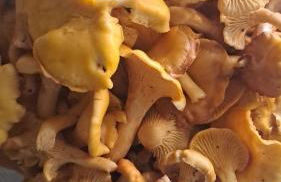 Serenità nella Natura - Foto 24