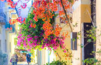 Ktima Anastasia - Foto 76