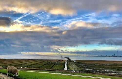 Ferienhaus Dollartbrise 45005 - Foto 23